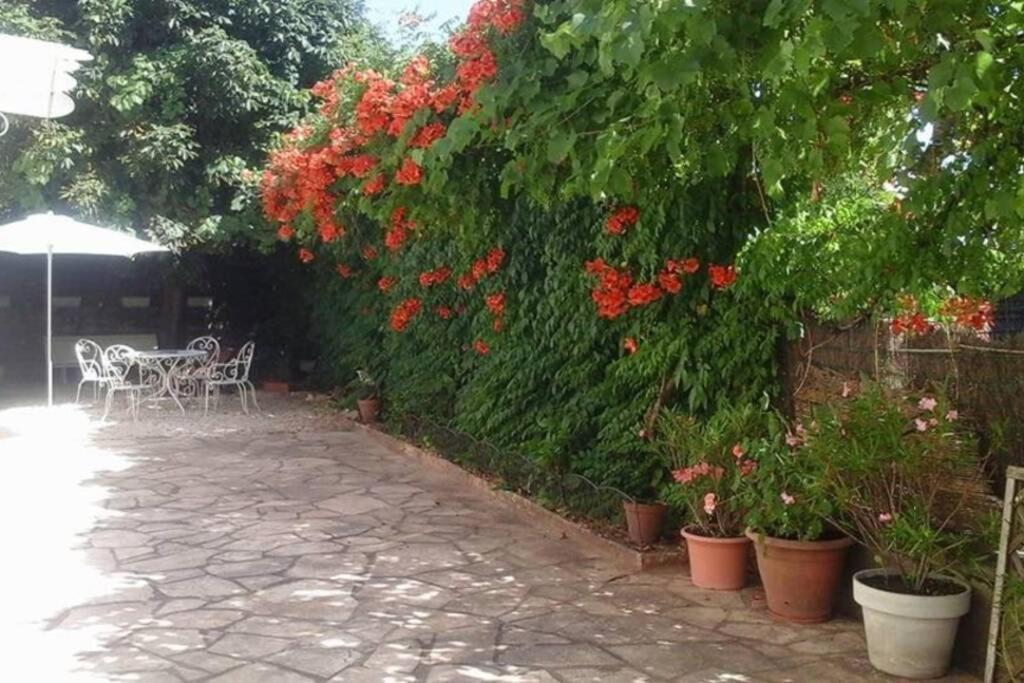 Maison De Charme En Perigord 10 Personnes La Maison D'Albertine Peyrillac-et-Millac Buitenkant foto